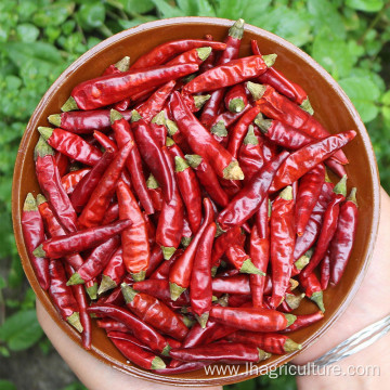 Natural dried chilies Chinese spice Green pepper